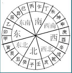 说起生肖对应的宫位，你是不是总觉得有点混乱？
