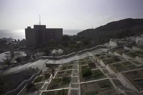 第二站：较小仓城——历史持续发展遗迹还是现代化主题乐园？