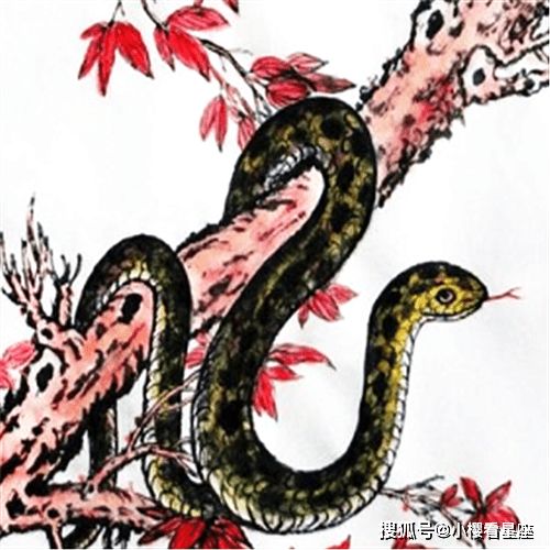 生肖蛇：阴阳怪气最不容简单防