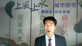 算命真相小说,算命真相小说
