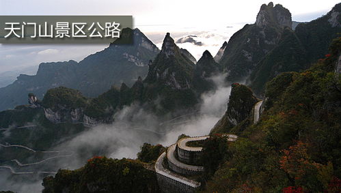 张家界老年优惠门票：一场说走就走的“夕阳红”冒险
