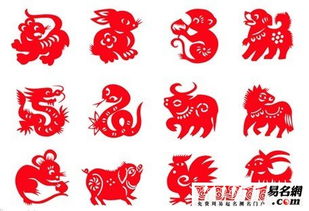 生肖年龄表：到底靠谱吗？咱说点实话吧