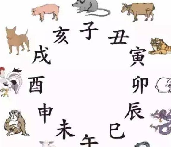 属相合不合在找对象时真实的那么关键吗？