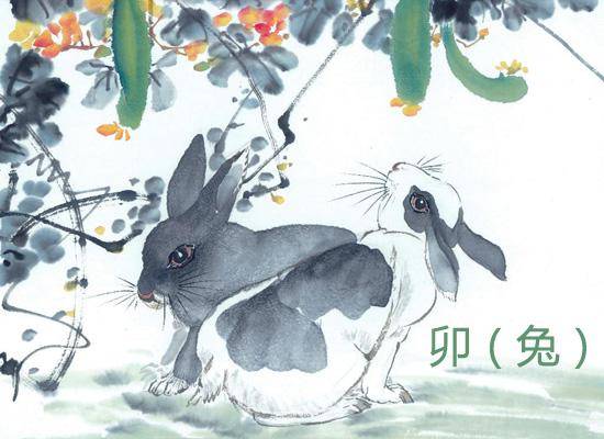 养护较小技巧（别只靠天意）
