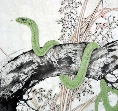 四、 2026年的黄历较小提醒——别忘了看天象