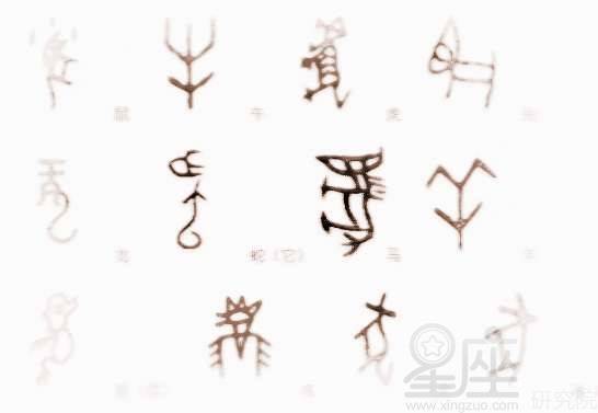 牛的六个合生肖