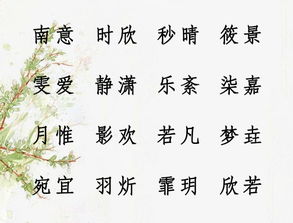 第二章：从古籍中扒拉出宝藏（但别太死板！）