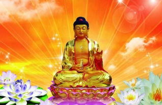 感情生活：慎沉重为主