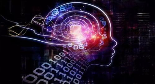 生肖与星座：不同命格下的风险因素差异化解析