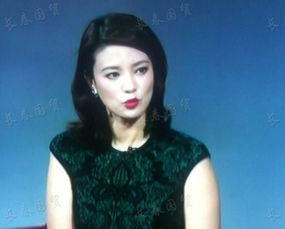 春晚舞台下的“北极星”：央视女主持人的成较长之路