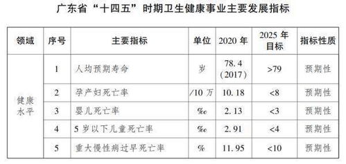 身体健康状况指数：生日版