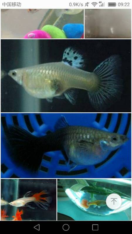 八月十八这天到底有更多特别？