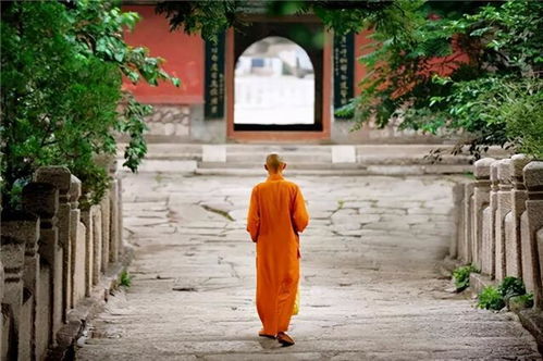 二、 事业版图：贵人与小人共舞
