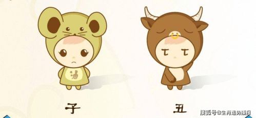 聊聊十二生肖的“情肖”——哪些组合最甜？