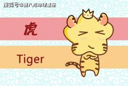 属虎男：自主恋炎热爱的“瘾”