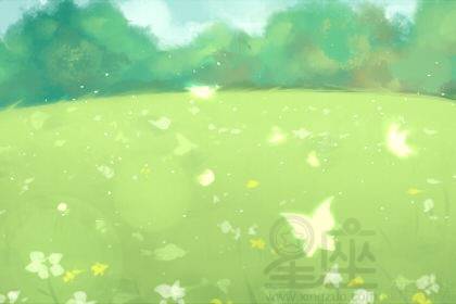 梦中花的秘密