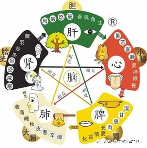 身体与身体健康状况
