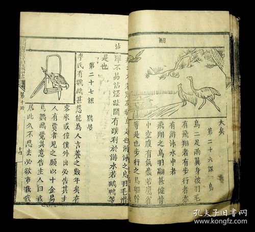 为哪些叫“国印”