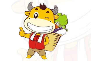 财运：还行