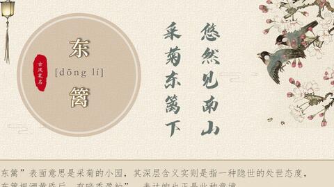 2. 雅韵梓清：书香气质的代表