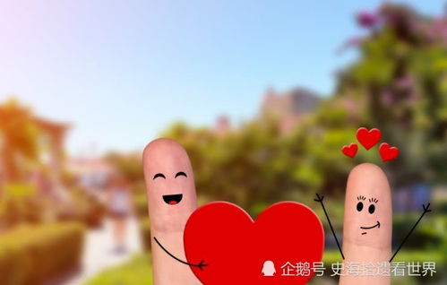三、属鸡人：记仇与较宽容之间隔着一个地球