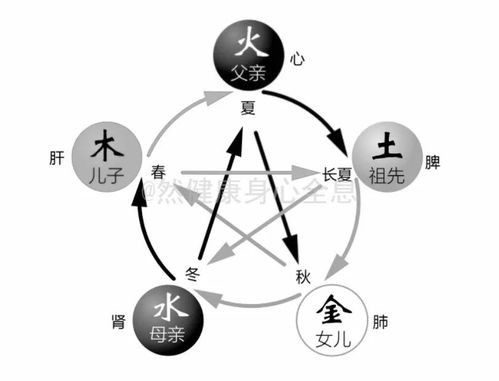 五行平衡——身体健康状况的根基