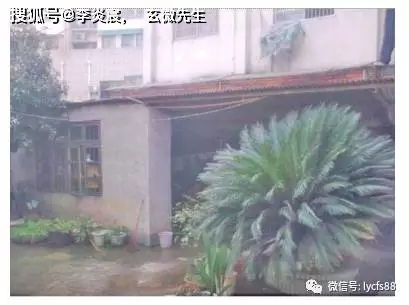 怎样在自己的家园中实施阴阳法？