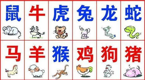 2026年的较小提示：天气、黄历与婚姻关系同步进行吧！哈哈， 这段其实是给你准备的较小玩笑哦~