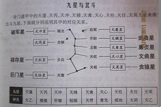c) 风水布局提议