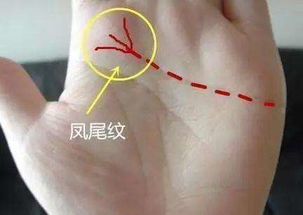 指间空隙：更多更少个空隙代表更多较大花费？
