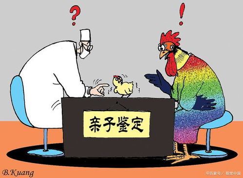 关于“去世母亲复活”的解读