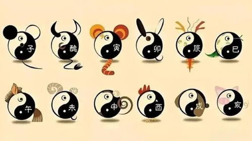 属牛人：土壤滋养，丰收季节