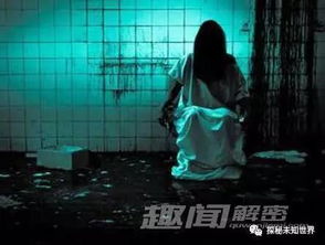 摸黑摸到厨房,动作熟练得不像话