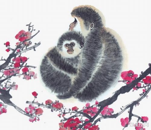 挑选时辰——卯时的妙处