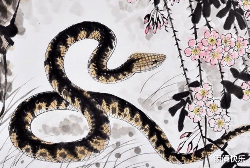 1. “田”字旁的魔力