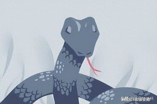白蛇梦，财运亨通？