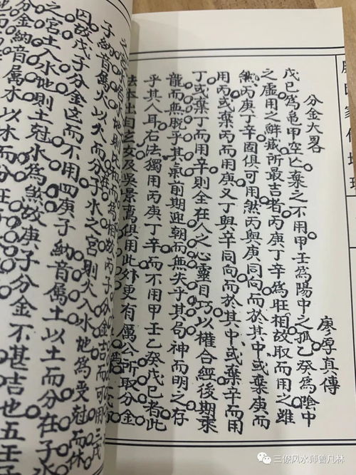 对后代真实正作用于的是“情绪传承”而非单纯良好运