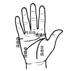 岛屿纹路要警惕！