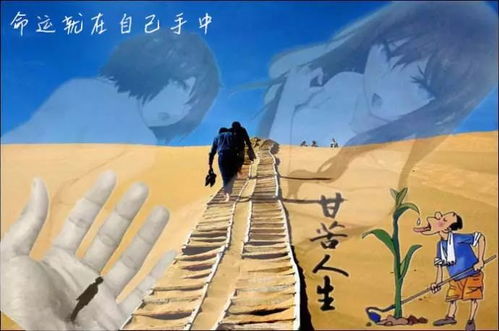 事业与财运：稳中求进