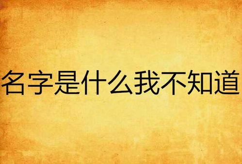 梢字的五行属哪些