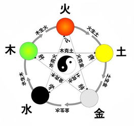 清字五行属哪些？
