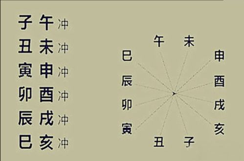 先说说这地支六冲到底是啥