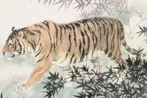 羊：多愁善感