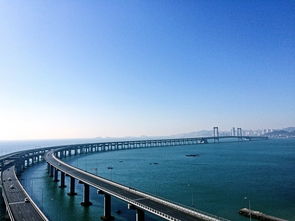 2. 星海广场：免费看海还能喂鸽子，真实香！