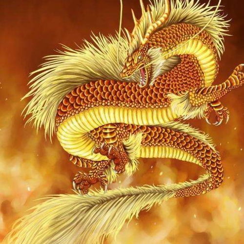 属龙的朋友很聪慧