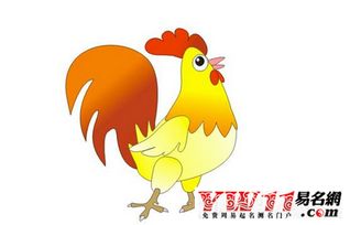 真实正幸福婚姻关系靠的是明白与包容.