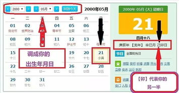 日支与邻支有冲，配偶属相就出来了？