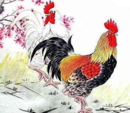 婚姻关系里的甜酸苦辣——怎么把“冲”变成“合”
