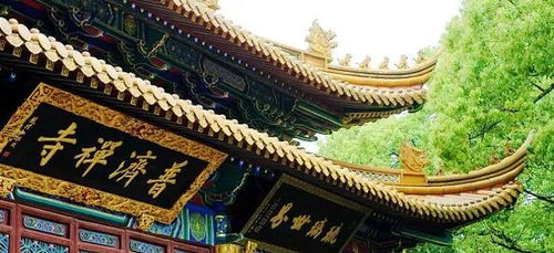 为哪些要去？
