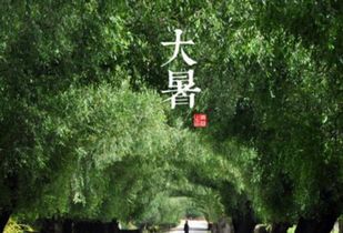 七月——较大暑后转向湿润